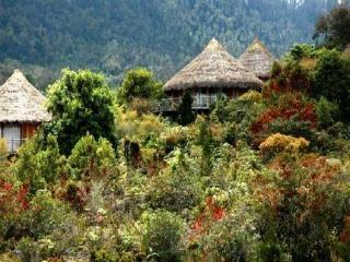Baliem Valley Resort Wamena Bagian luar foto